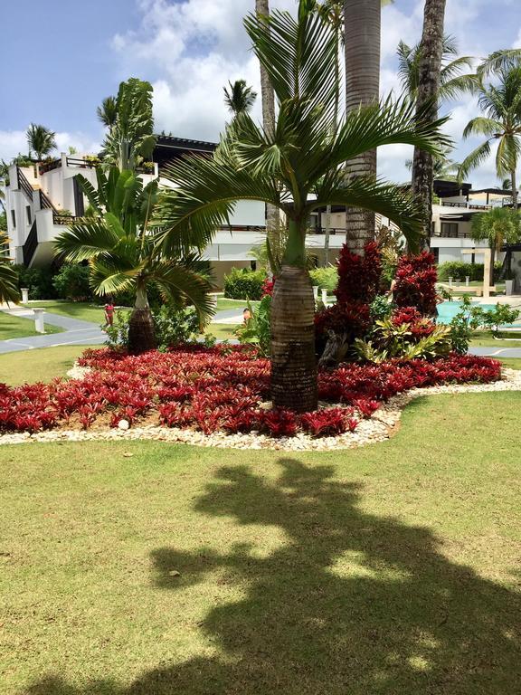 Aligio Beachfront Paradise Las Terrenas Luaran gambar